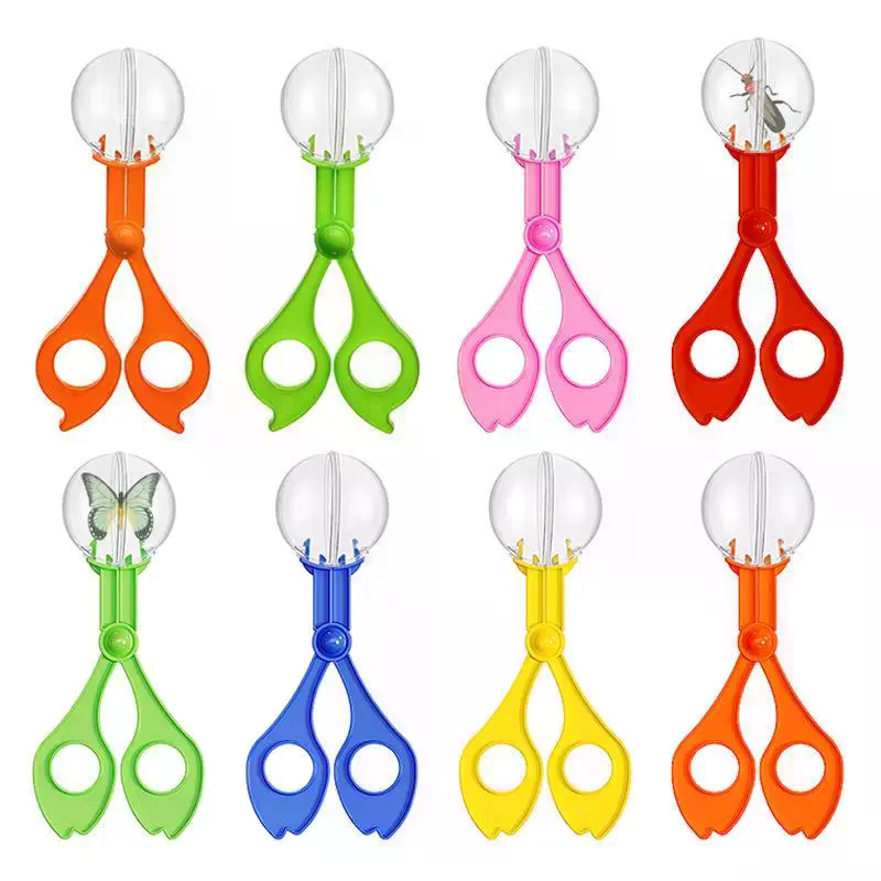 Juego de tijeras educativas pa - Outdoor Camping Kids Activities reseña y precio
