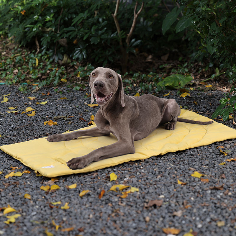 Alfombrilla portátil plegable  - Outdoor Camping Dog Fence reseña y precio